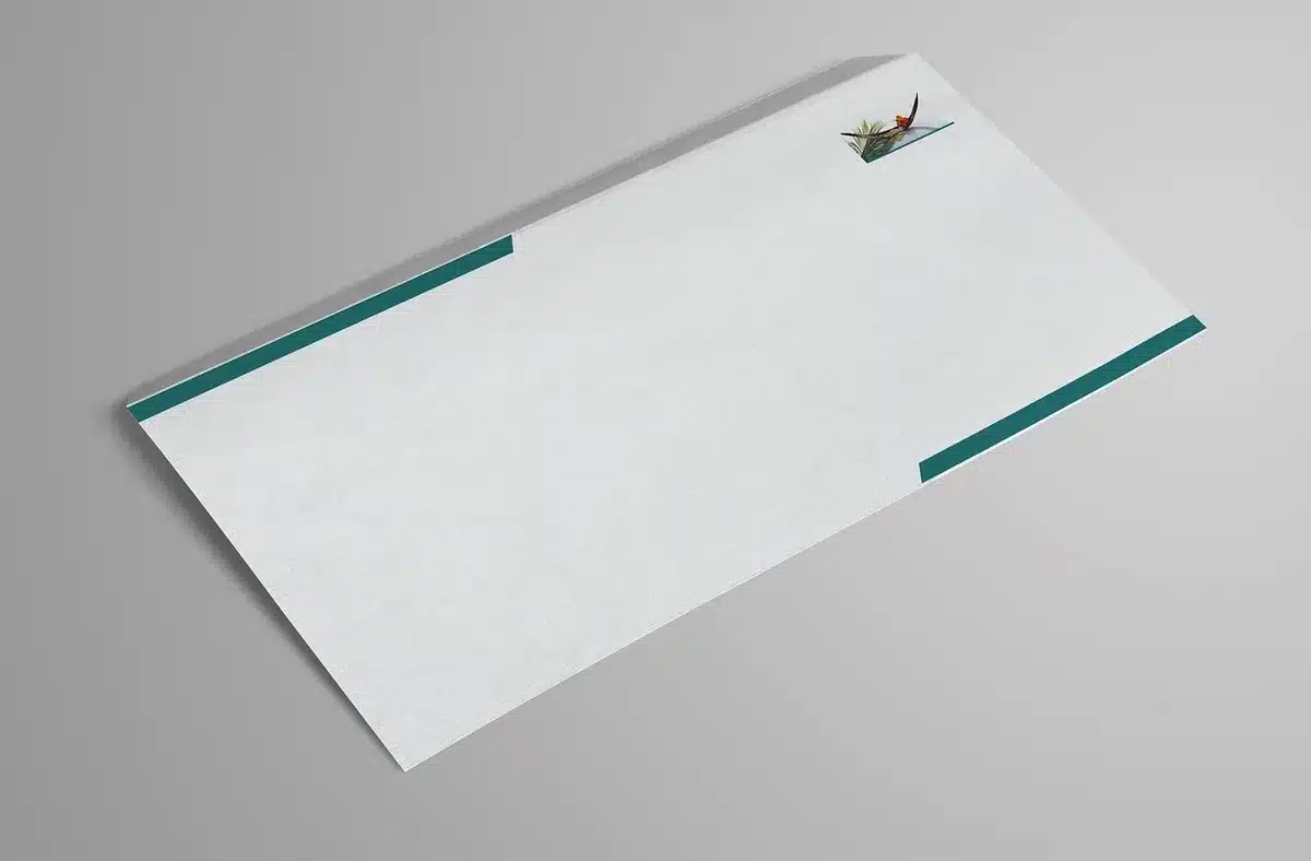 An empty voting placard and a generic ballot envelope on a plain table, a pen beside them suggesting imminent use