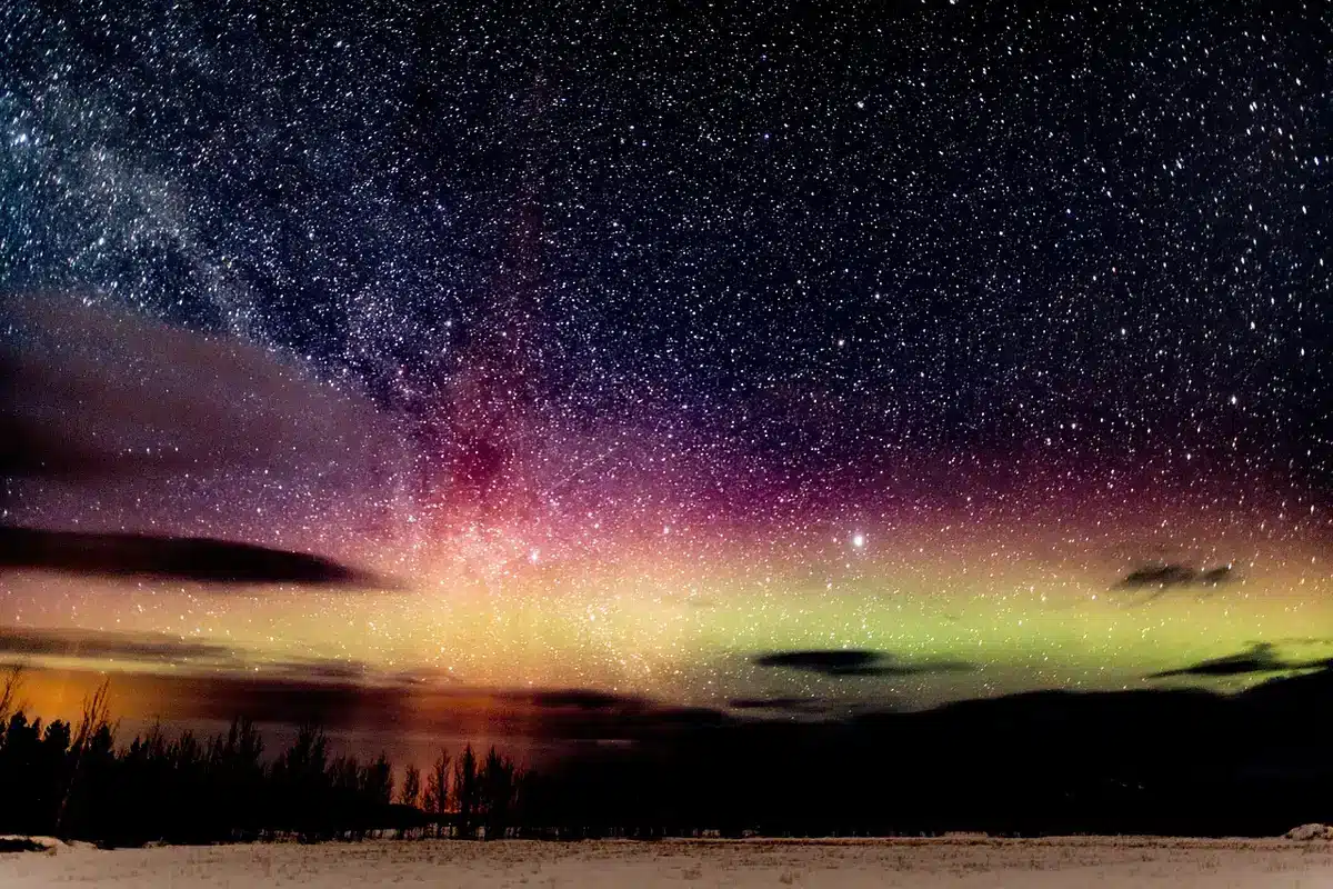 Northern lights dancing across a dark sky in shades of green and purple, with silhouetted evergreen trees in the foreground and a frozen landscape beneath the aurora