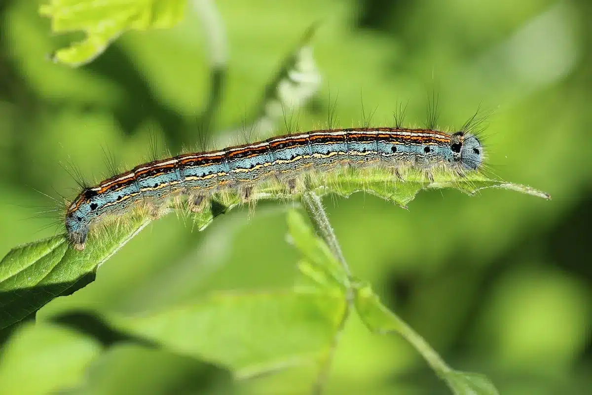 A sleek smart ring resting on a minimalist surface with soft warm lighting, emphasizing its compact design and premium materials.