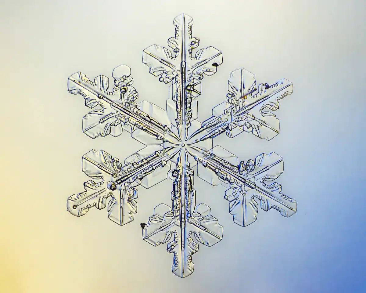Snowflake reports Q2 earnings tonight after 47% stock rally in 2026