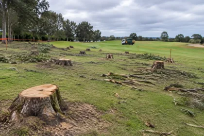 Ana C. Reyes presses Justice Dept. over East Potomac golf-course plan in D.C. hearing