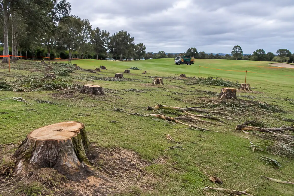 Ana C. Reyes presses Justice Dept. over East Potomac golf-course plan in D.C. hearing