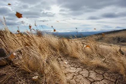 Fire weather watch issued for parts of the U.S., National Weather Service says