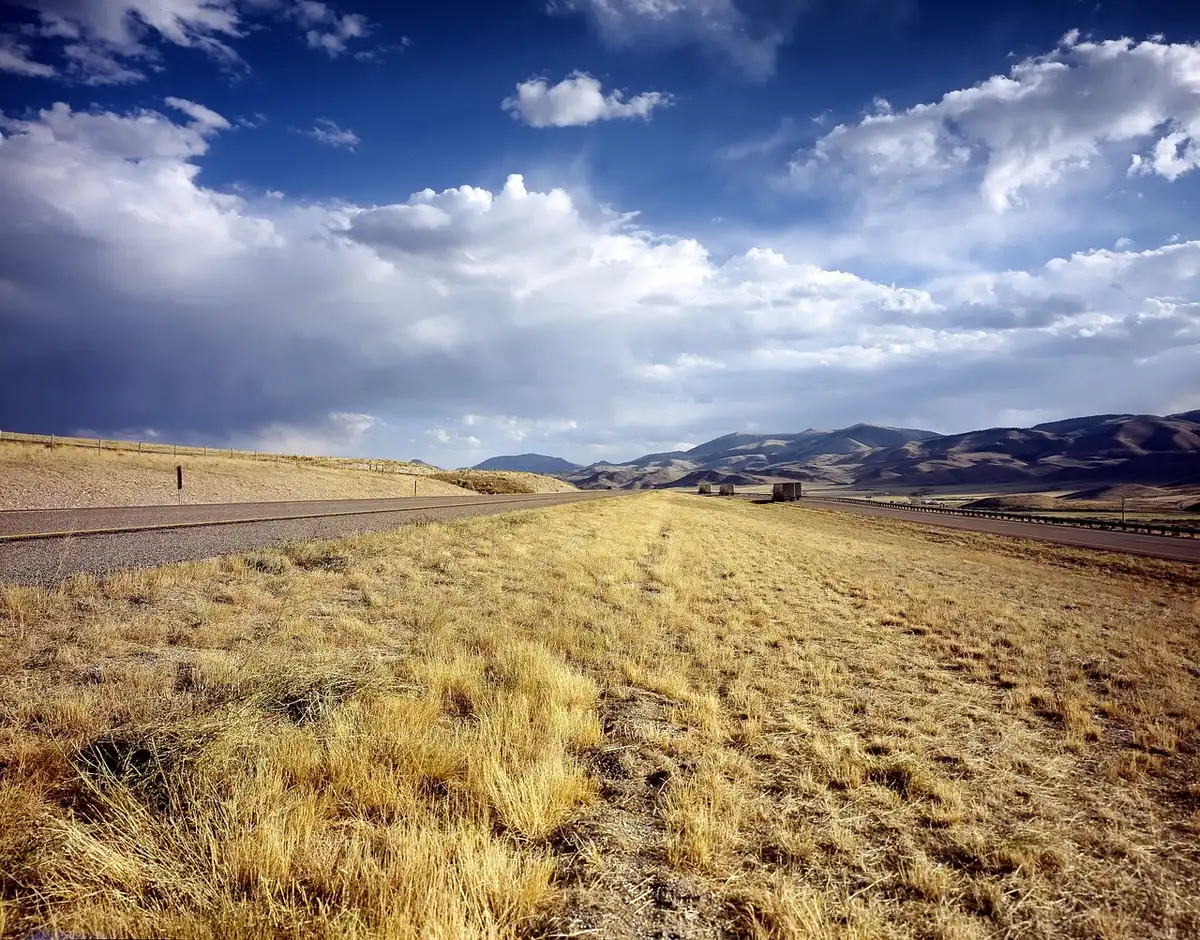 an empty rural road lined by dry brush, wind‑blown leaves and a clouded sky suggesting an approaching wind event, no identifiable features