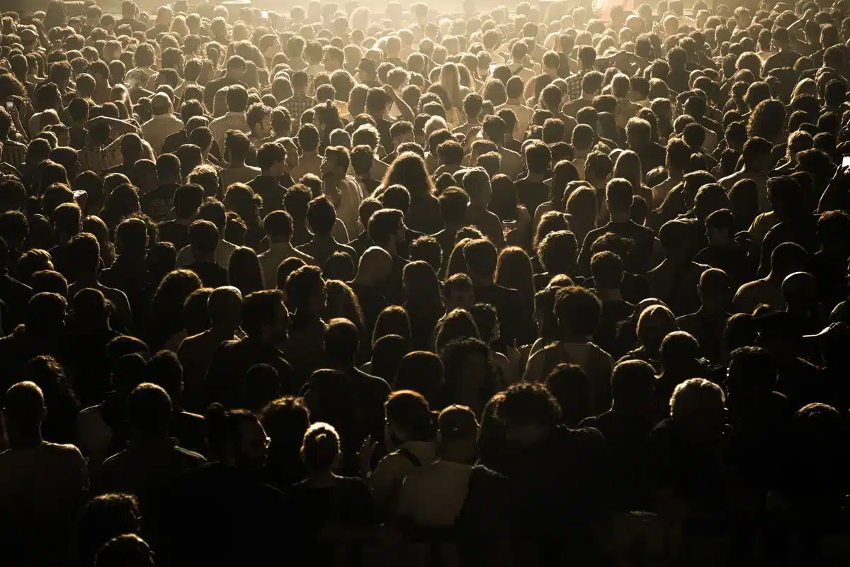 A crowd of anonymous, blurred supporters waving plain flags at dusk, faces indistinct, banners removed to show no logos or text
