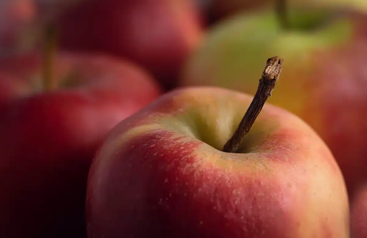 An empty county elections office desk with stacked envelopes, a generic ballot tray and a closed clipboard under fluorescent lights