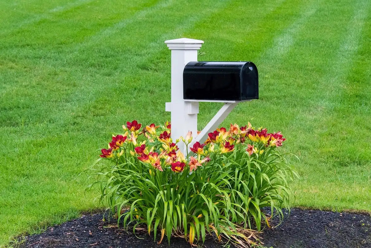 A lone campaign mailbox with anonymous yard signs nearby, a folded campaign flyer caught in the slot, late-afternoon light; suggests active local campaigning